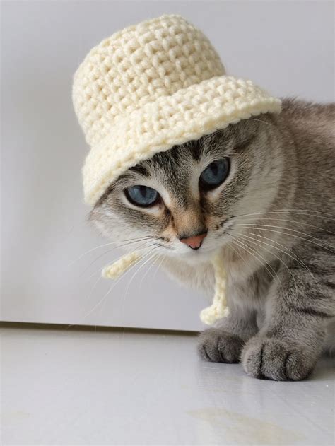 Bucket Hat Pattern Bucket Hat For Cat Crochet Hat For Cats Etsy