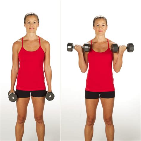 The Bicep Curl Basic Moves Any Gym Rat Should Know Popsugar Fitness Photo