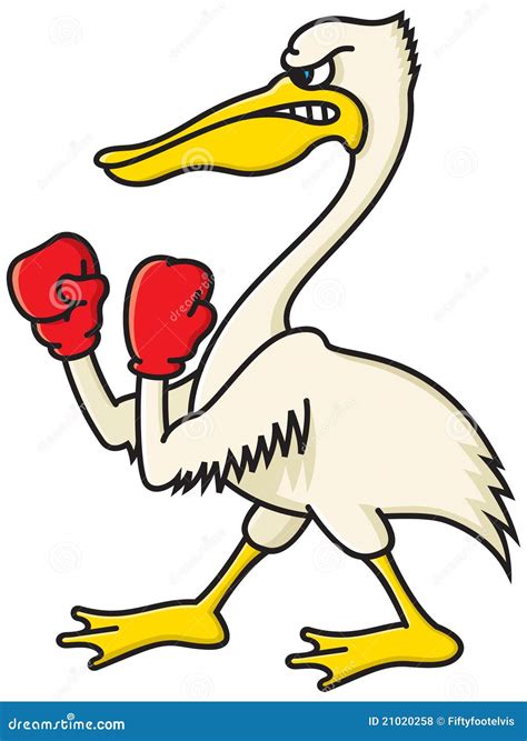 Angry Pelican Stock Vector Illustration Of Frown Boxing 21020258