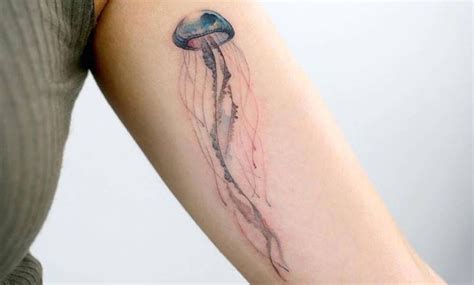 Tatuajes De Medusas Recopilación De Diseños Y Significado Tatuajes