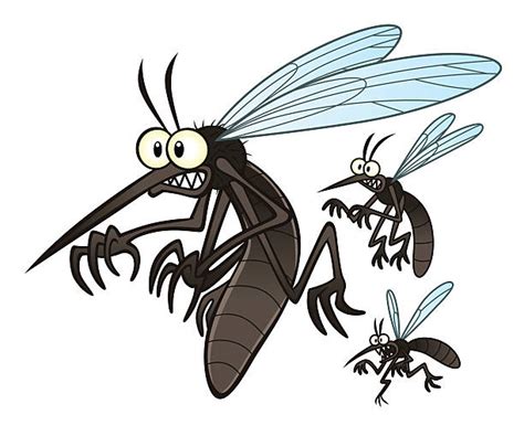 Mosquito Clip Art Vector Images And Illustrations Istock