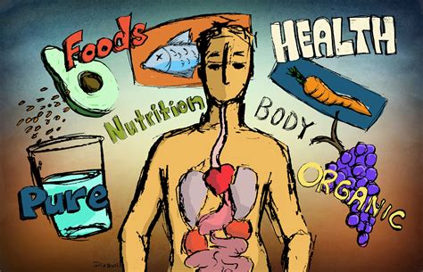 Free Health Illustration Clipart Download