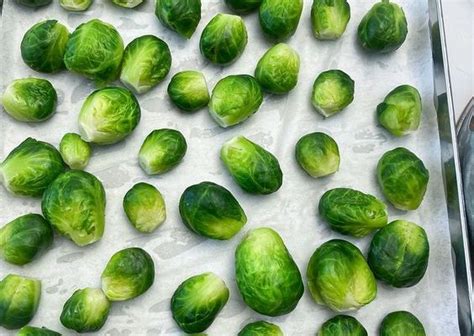 How To Freeze Brussels Sprouts 15 Steps The Tech Edvocate