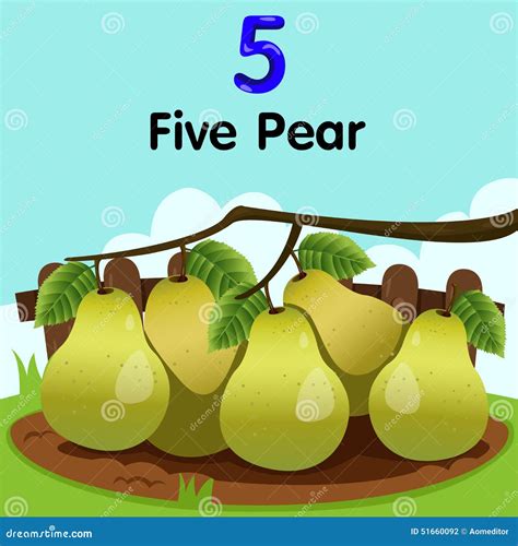Illustrator Number Five Pear Stock Illustrations 2 Illustrator Number