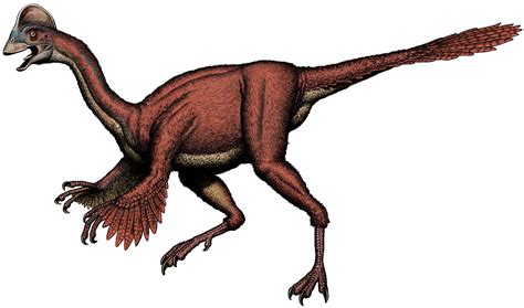 New Dinosaur Called ‘chicken From Hell The Washington Post