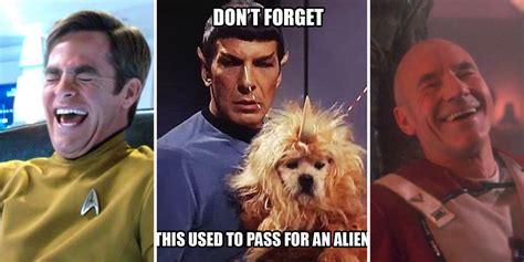 Hilarious Star Trek Memes That Will Split Your Sides