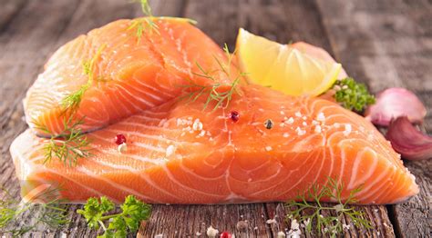 Terpopuler 21 Jenis Ikan Salmon Terbaik