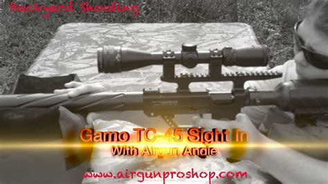 the gamo tc 45 sight in with airgun angie youtube