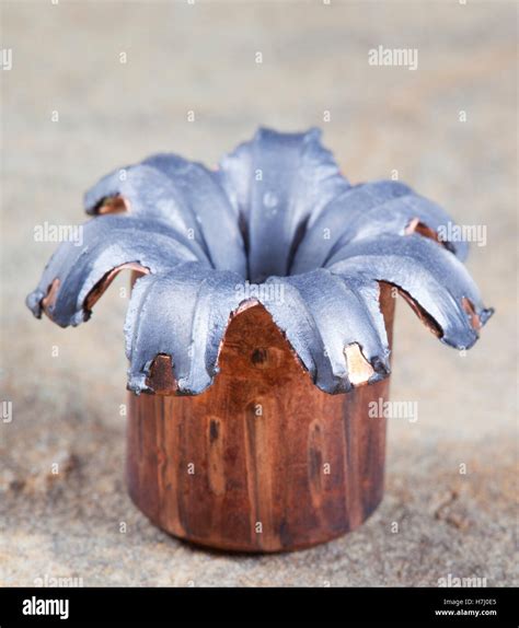Copper And Lead Hollow Point Bullet Flattened After Impact Stock Photo