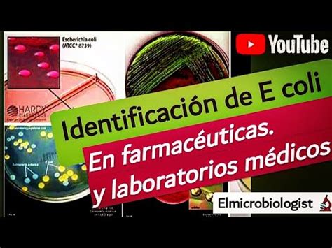 Identificación de E Coli en farmacéuticas y laboratorios médicos