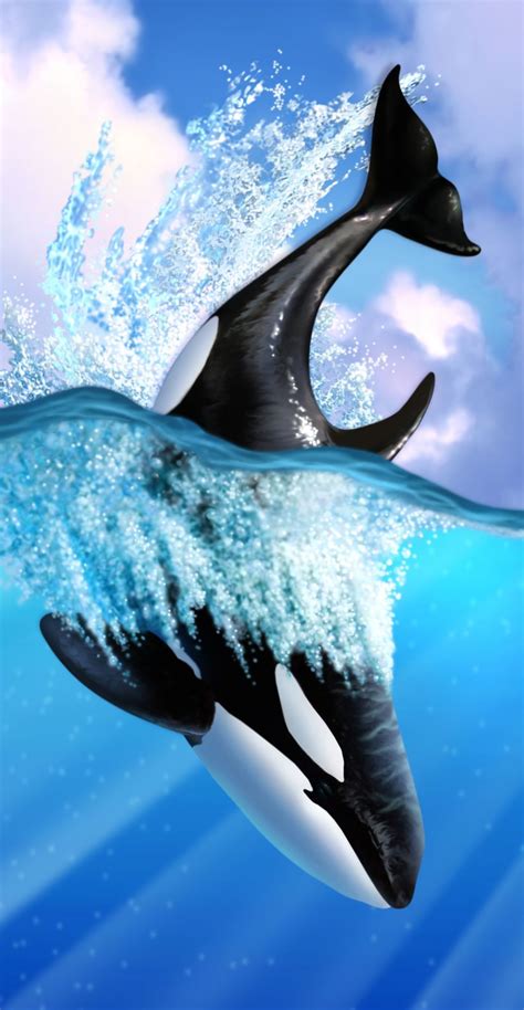 Orca Whale Wallpaper 4k Wallpaper Whale 5k 4k Wallpaper 8k Ocean