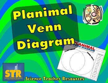 What is common between plant and animal cells quora. Plant Animal Cell Venn Diagram by Science Teacher ...