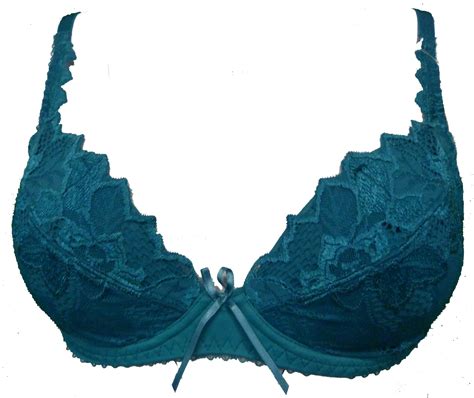 Lepel Fiore Underwired Lightly Padded Lace Plunge Bra LE93200ST EBay