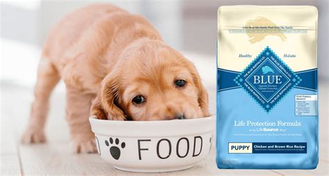 Blue Buffalo Puppy Food Natural Reviews And Formula All About Pups