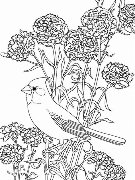 Our coloring content is always designed to spread joy and urge creativity. Bird Among Beautiful Flowers Coloring Page | Color Luna