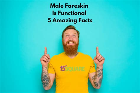 Male Foreskin Is Functional 5 Amazing Facts 15 Square