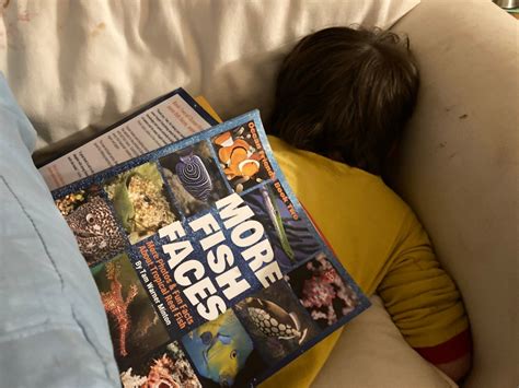 Books About Marine Life For Kids The Homeschool Resource Room