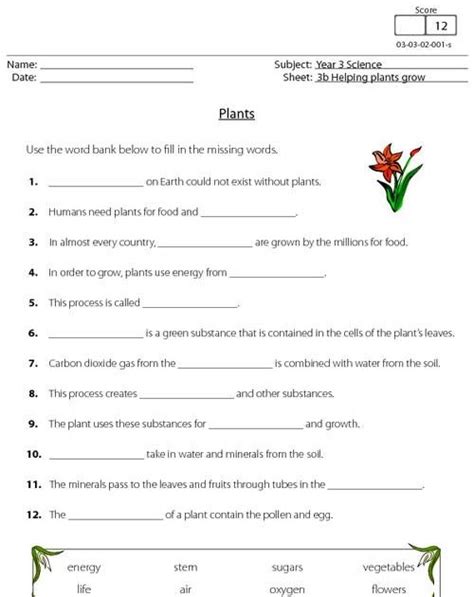 Teach Child How To Read Science Worksheets For Grade 5 Plants