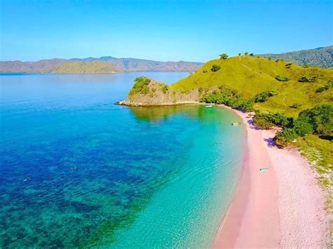 Pink Beach Komodo Island Visit And Enjoy The Beauty