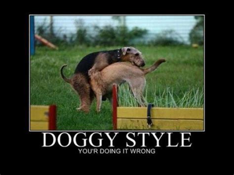Doggy Style Animals And Pets Funny Animals Michael Vick Youre Doing