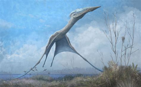 Huge Antarctic Pterosaur Found In Fire Struck Museum Prehistoric