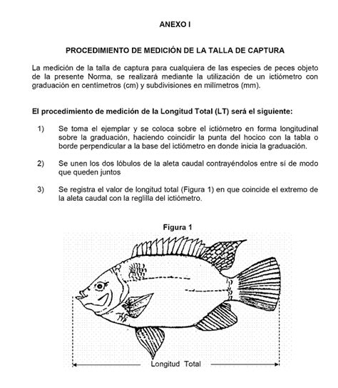 Proyecto De Norma Oficial Mexicana Proy Nom 057 Pesc 2008 Pesca