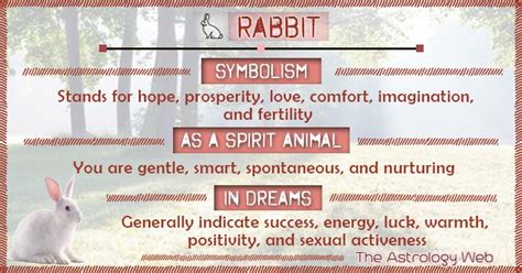 Rabbit Meaning And Symbolism The Astrology Web Rabbit Symbolism