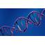 Genetic Engineering – Cassidyeblog