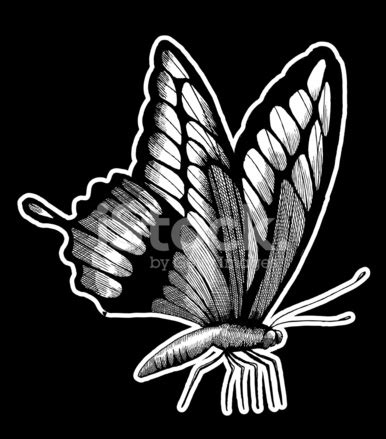 Not all black inks are created equal, and darkness is a key difference. Butterfly Ink Drawing Stock Vector - FreeImages.com