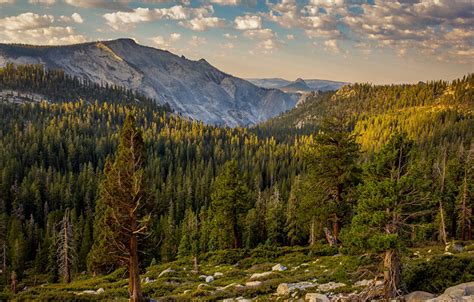 fondos de pantalla parque ee uu bosques fotografía de paisaje california yosemite naturaleza