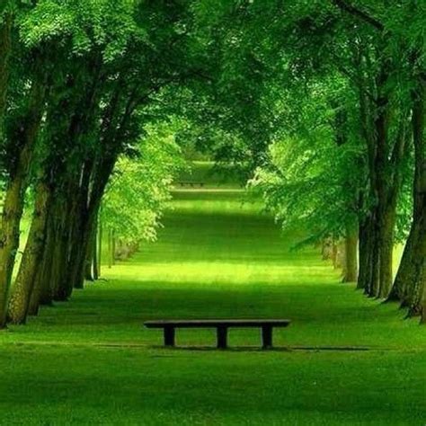 234 Hd Wallpaper Green Scenery Images And Pictures Myweb