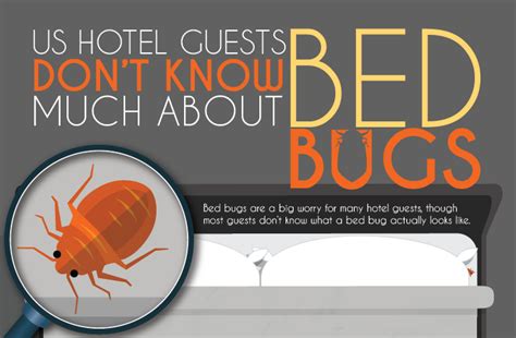 Us Hotel Guests Dont Know Much About Bed Bugs