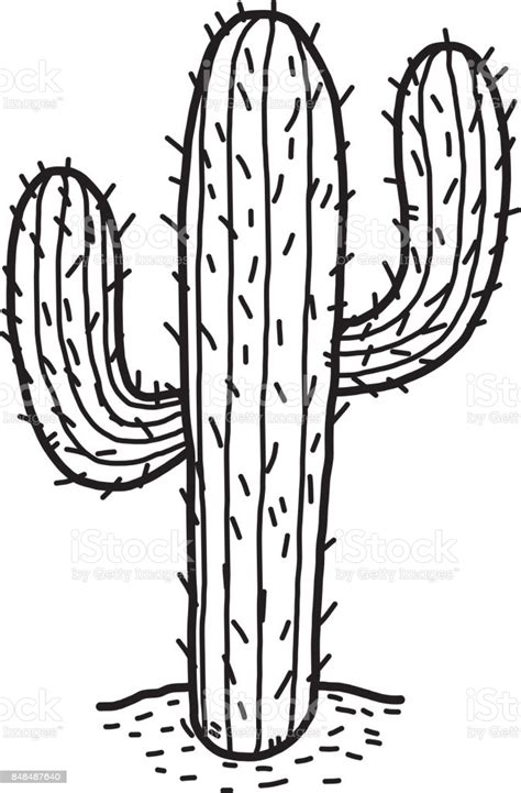 Cute modern houseplant hand drawn succulent. Cactus In Desert Stock Illustration - Download Image Now ...