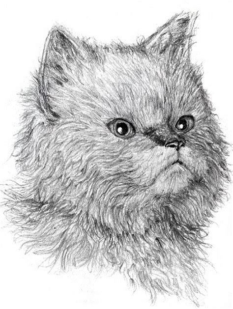 How to Draw Cats with Pencil for the Absolute Beginner – Learn to Draw