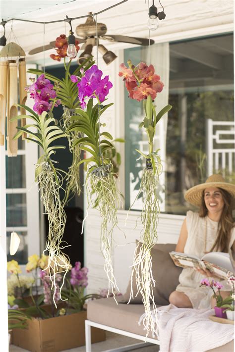 The Ultimate Guide To Keeping Your Orchid Outside — Your Orchid Questions