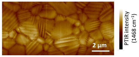 Newly Discovered Ferroelastic Domains