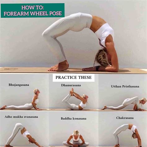How To Do Forearm Wheel Pose Wheel Pose Yoga Flexible Yoga Poses