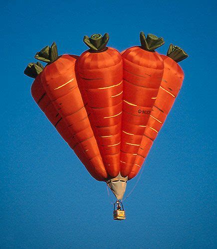Daily Owned Funny Hot Air Balloons