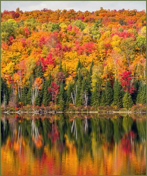 Canadas Best Time For Fall Colours Can Be Found On This Handy Site