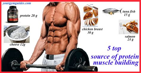 The Top 5 Source Of Protein Muscle Building Health And Gym Guide