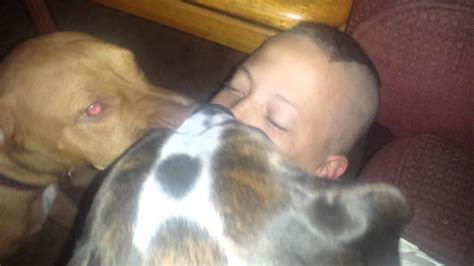 Pit Bulls Attack Childreal Pit Bull Attack Youtube