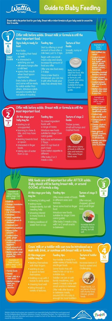 Is your baby ready for stage 2 baby food? Wattie's Guide to Baby Feeding | Monthly Food Chart for ...
