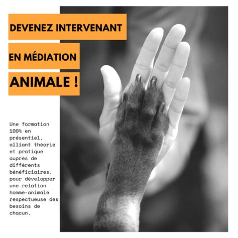 Centre Du Bien être Animal Formations Comportements Animaliers