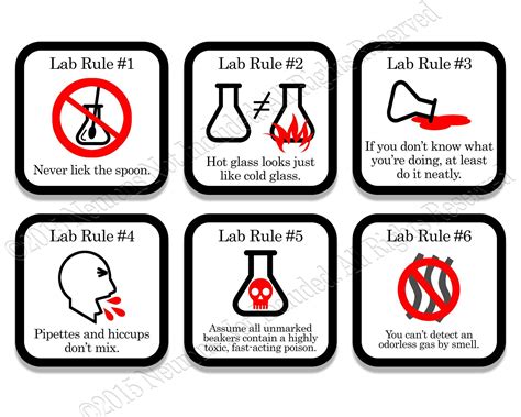 Lab Rules Science Coaster Set 6 Piece Set Science Humor Lab Week