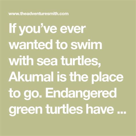 If Youve Ever Wanted To Swim With Sea Turtles Akumal Is The Place To