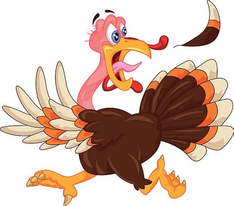 Funny Looking Turkeys Cartoon Illustrations Royalty Free Vector