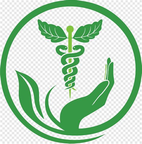 Green And White Medical Logo Herbalism Medicine Alternative Health