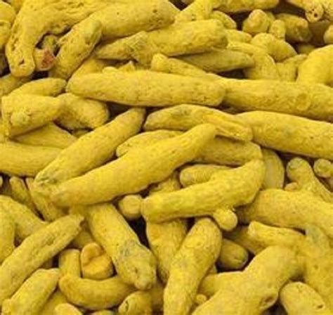 Bright Yellow Dried Rajapuri Turmeric Fingers At Best Price In