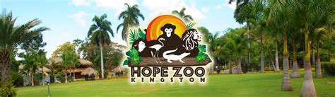 Hope Zoo Kingston Jamaica