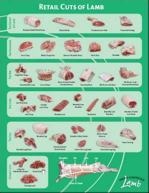 Through this article and beef cuts chart and diagram, you'll learn about all the popular cuts of beef from front to back, what they're good for, and how to cook them. Fresh Canadian Lamb::Cutting Chart